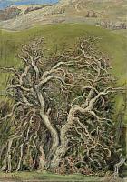 Hildenbrand, Wilder Baum im WinterBernau, 1936, OelLw, 97.5 x 69 cm